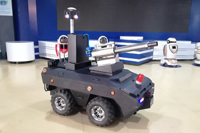 东北露脸老熟女啪啪